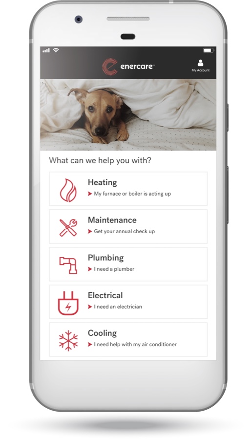 Contact Us for Home Services Enercare